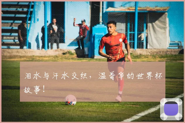 泪水与汗水交织，温哥华的世界杯故事！