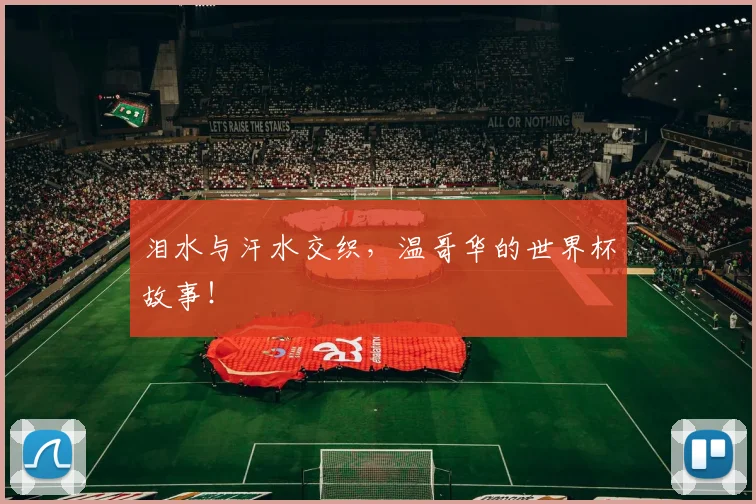 泪水与汗水交织,温哥华的世界杯故事!