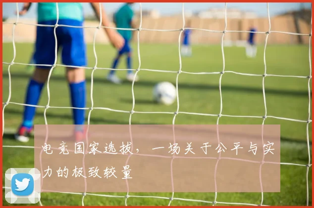 电竞国家选拔,一场关于公平与实力的极致较量
